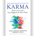 The Beginner's Guide to Karma