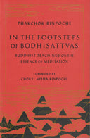 In the Footsteps of Bodhisattvas