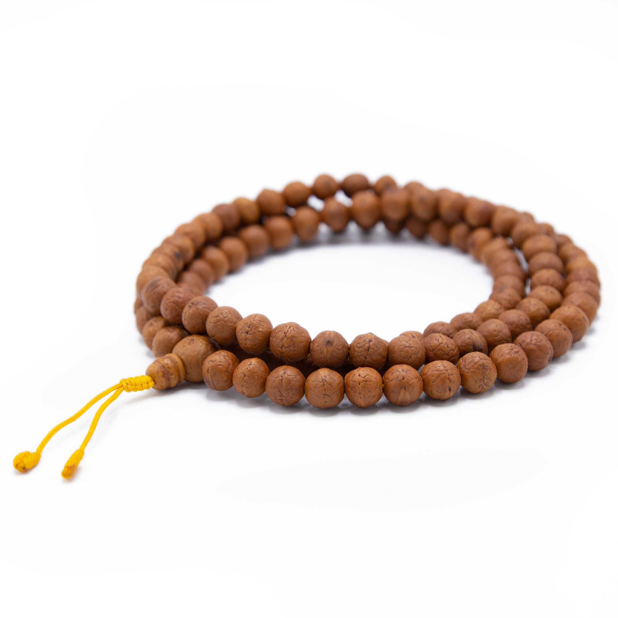Bodhi Seed XL Mala with Sacred Shank Shell Spacers – Beads of Paradise