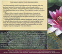 The Great Perfection Preliminaries - Download