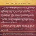 Heart Advice from the Lama - Download