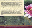 Introduction to Practice of Red Tara - Download