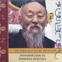 Intro to Sadhana Practice CD