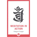 Meditation in Action