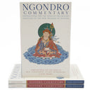 Ngondro Commentary