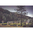 Prayer Flags Postcard