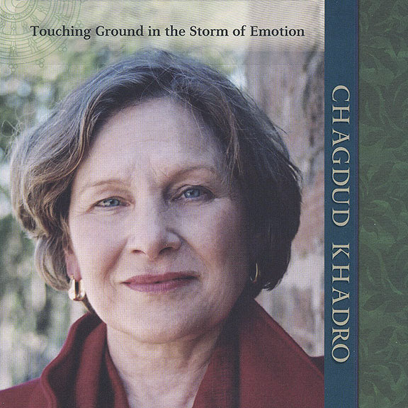 Touching Ground in the Storm of Emotion - Download