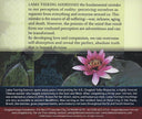 Transcending the Divided Mind - Download