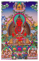 Amitayus Card