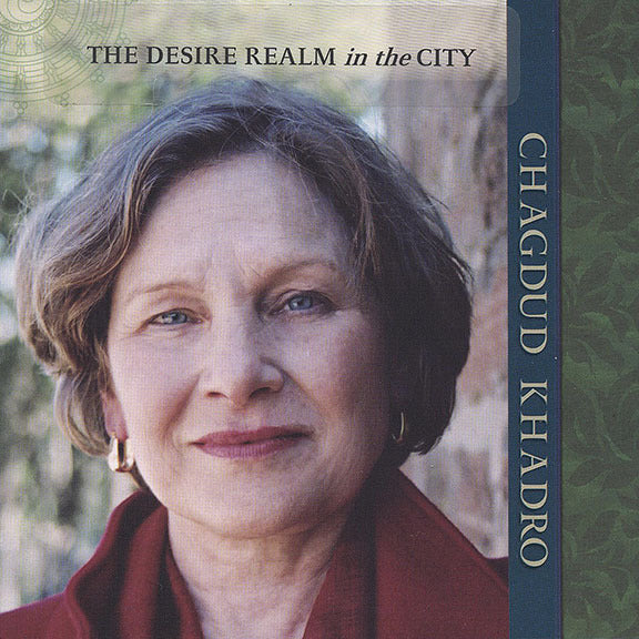 The Desire Realm in the City CD