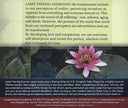 Transcending the Divided Mind CD