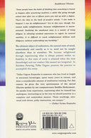 Rainbow Painting