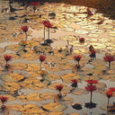 Lotus Greeting Card