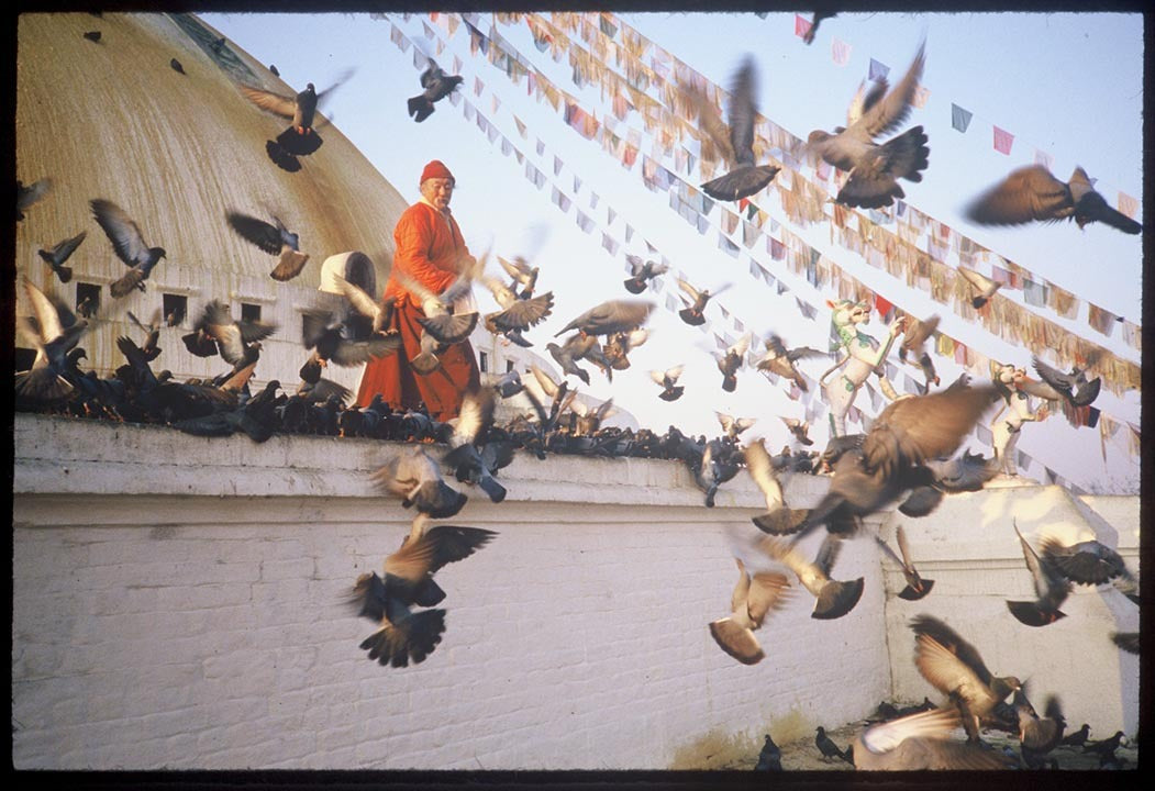 Chagdud Rinpoche with Birds Photo