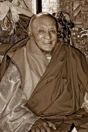 Tromge Dechen Rinpoche Photo