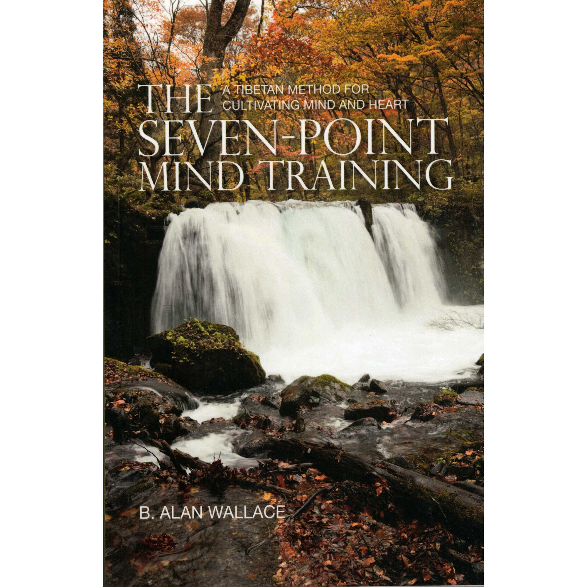 The 7 Point Mind Training