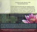 Cycles of Life, Death, and Transformation CD — view 2