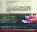 The Desire Realm in the City CD — view 2