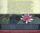 Relationships in Spiritual Life CD — view 2